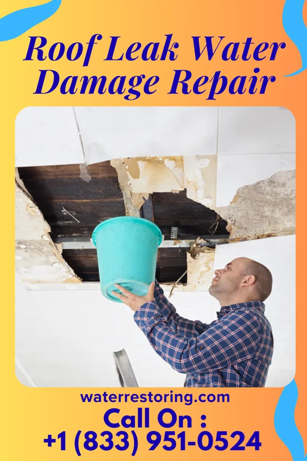 Roof Leak Water Damage Repair in Gilbertville, IA